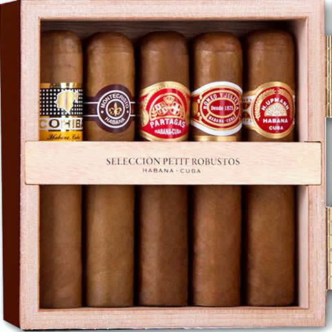 Petit Robusto Selection 10 cigars (90mm x Ring 50) - 5 Brands